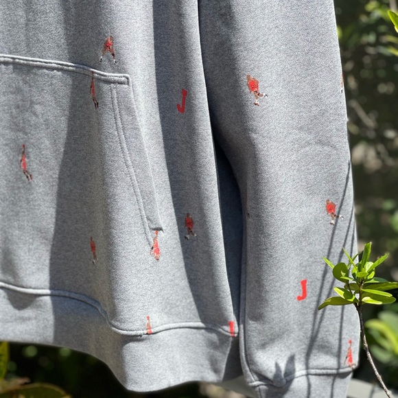 NIKE AIR JORDAN ESSENTIAL STATEMENT ALLOVER HOODIE GRAY - Picture 3 of 8